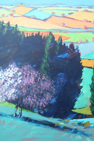 Teme Valley blossom close up 1 (acrylic on board) 作者 保罗·鲍伊斯