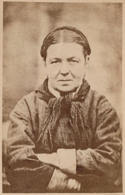 歇斯底里的癫痫症，来自Bourneville的“摄影图像的La Salpetriere”和巴黎的P. Regnard，1876年（蛋白印刷品） 作者 保罗·雷纳德