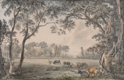 丹比郡Valle Crucis修道院，1770-79年。 作者 保罗·桑德比