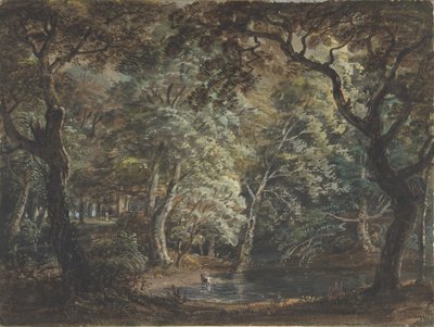 温莎大公园，1790-99。 作者 保罗·桑德比