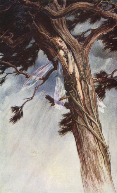 威廉-莎士比亚的《暴风雨》，第一幕，第二场（彩色石版画） 作者 保罗·文森特·伍德罗夫