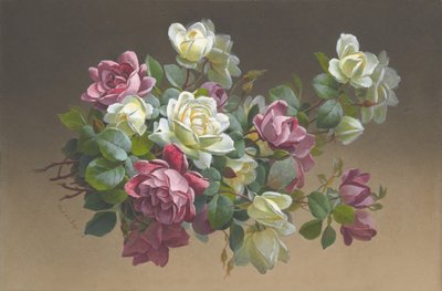 花：玫瑰花，19世纪末至20世纪初。 作者 保罗·德·朗普雷
