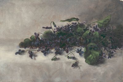 紫罗兰，约1890年。 作者 宝琳鲍威尔伯恩斯