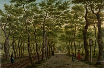 海牙博斯（Haagse Bos）的 "Herepad
海牙附近的谢弗宁根森林 作者 Paulus Constantijn la Fargue（艺术家签名）