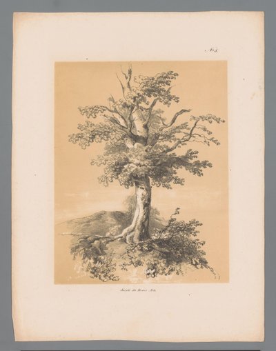 树
保卢斯-劳特斯的风景画（系列标题）
保卢斯-劳特斯创作的 1839 年风景画（系列标题） 作者 法国美术学院