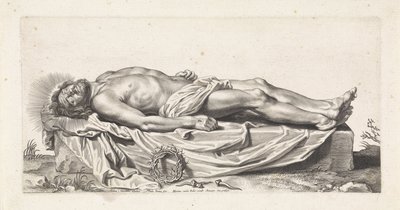Lichaam van de dode Christus 作者 亚伯拉罕·范·迪彭贝克