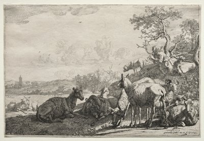 牧羊人，1644年。 作者 保罗·波特