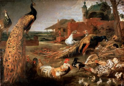 孔雀之父中的乌鸦》，约1615-1690年 作者 Pauwel de Vos