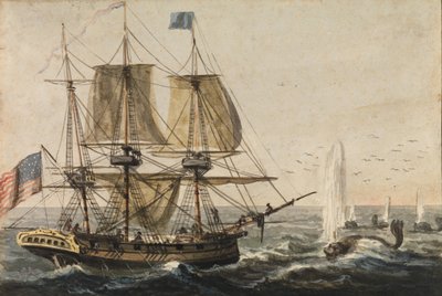 在纽芬兰海岸用鳕鱼补充船舶的储藏室，1811-约1813。 作者 帕维尔·彼得罗维奇·斯维因