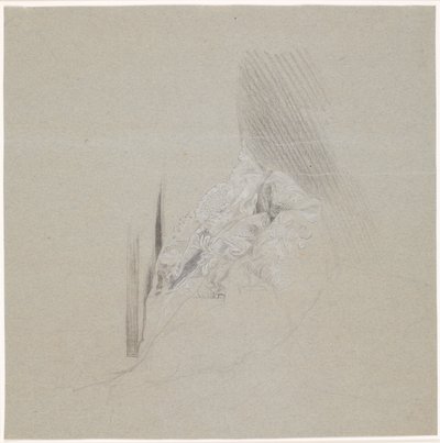 花边研究 作者 彼德