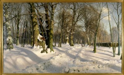 下雪的冬天森林在阳光下 作者 Peder Monsted