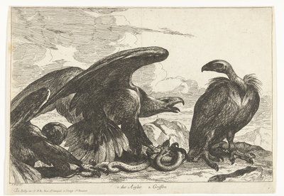 秃鹫和鹰与蛇
des Aigles 2.狮鹫（物品上的标题）
凡尔赛动物园的鸟类（系列名称） 作者 彼得·布尔
