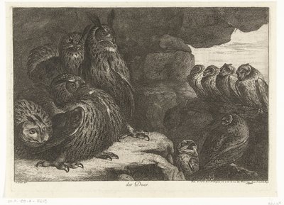 猫头鹰在山洞里 des Ducs（物体上的标题） 凡尔赛动物园的鸟类（系列名称） 作者 彼得·布尔