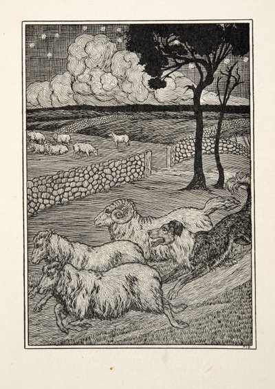 一只犬羊偷窃者，来自A Hundred Anecdotes of Animals，pub。 1924年 作者 Percy J. Billingshurst