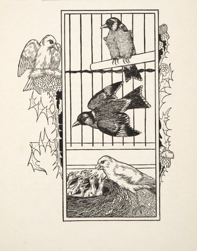 一个慈善金丝雀，来自动物的一百个轶事，酒吧。 1924年 作者 珀西·比林斯赫斯特（Percy J.
