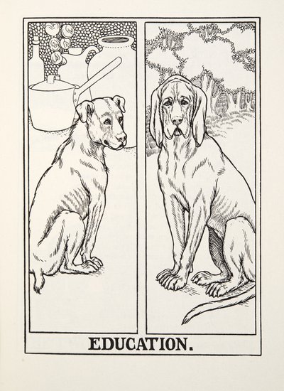 教育，来自Fontaine Fables，酒吧。 1905年 作者 Percy J. Billingshurst