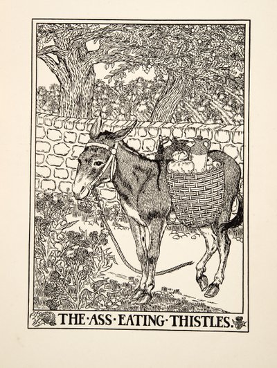 驴子吃蓟，来自阿索普的一百个寓言，pub.1903 作者 珀西·比林斯赫斯特（Percy J.