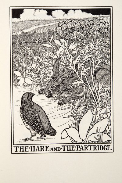 The Hare and The Partridge，来自Fontaine Fables，酒吧。 1905年 作者 Percy J. Billingshurst