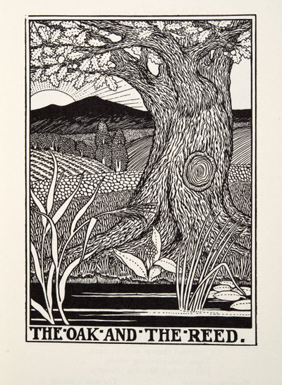 The Oak and the Reed，来自Fontaine Fables，酒吧。 1905年 作者 Percy J. Billingshurst