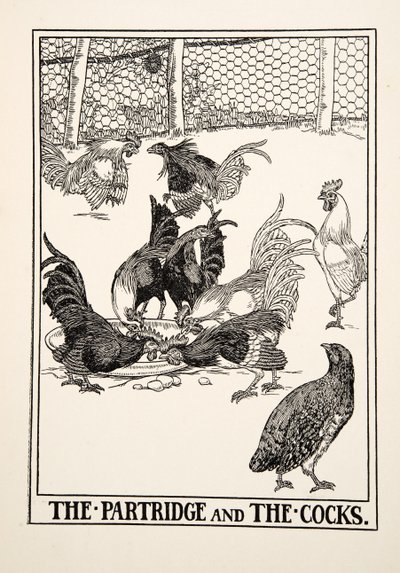 The Partridge and the Cocks，来自A Andred寓言的Aesop，pub.1903 作者 Percy J. Billingshurst