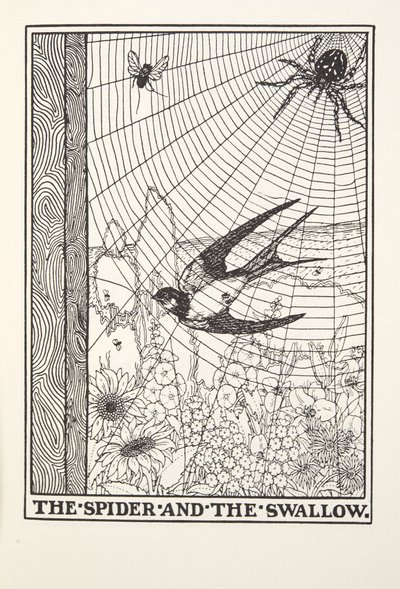 蜘蛛和燕子，来自Fontaine Fables，酒吧。 1905年 作者 珀西·比林斯赫斯特（Percy J.