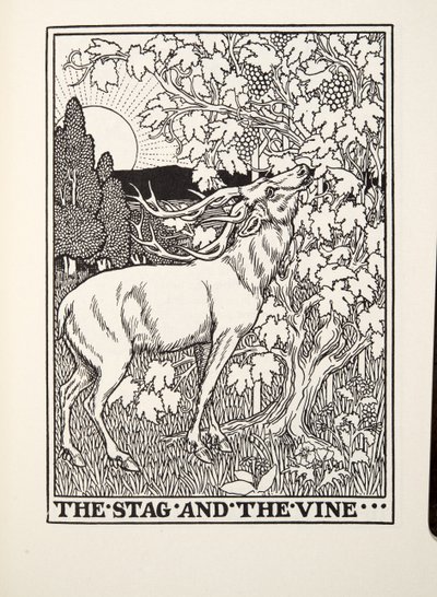 The Stag and the Vine，来自Fontaine Fables，酒吧。 1905年 作者 Percy J. Billingshurst