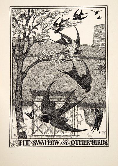 燕子和其他鸟类，来自阿索普的一百个寓言，pub.1903 作者 珀西·比林斯赫斯特（Percy J.