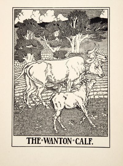 The Wanton Calf，来自A Hundred Fables of Aesop，pub.1903 作者 Percy J. Billingshurst