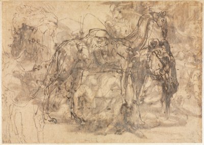 动物素描图，c。 154547。 作者 佩里诺·德尔·瓦加（Perino del Vaga）