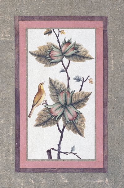 花鸟研究，约1780年 作者 波斯学校
