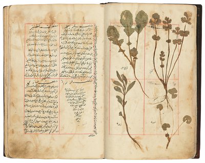 Hassan Bin Baqir Bin Jarrah：伊朗Qajar的Gulzar Al-Rayahin 作者 波斯学校