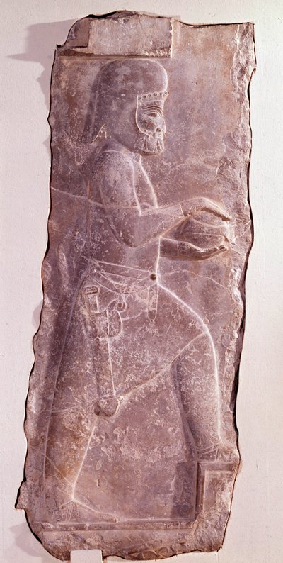 Stone relief representing a Mede servant (people of Iran). Routeenide period. Low relief from the staircase of the Palace of Darius I (550-486 BC) king of Persia. Persepolis, Fars Iran. Preserve at the Museum of Fine Arts Zurich 作者 波斯学校