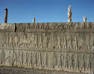 Submissive peoples offer gifts to Darius I.Reliefs of the eastern staircase of the Apadana, 6th century BC 作者 波斯学校