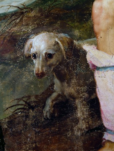 狗，耶稣诞生的细节，由 Pieter Candid 或 Pieter de Witte（约 1548-1628 年）绘画，荷兰 作者 彼得·坎迪德