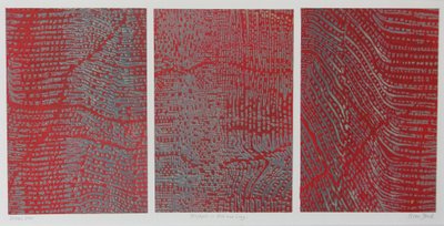 红灰三联画 作者 彼得·A·福特
