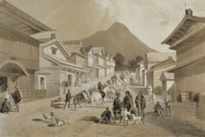 在Hakodadi的街道，从“美国中队远征到中国海和日本的叙事”，酒吧。作者：Sarony und Co.，1856（有色光刻） 作者 彼得·伯恩哈德·威廉·海涅