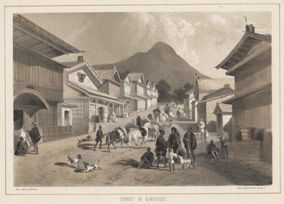 位于Hakodadi的街道，由Sarony and Co.，1855年制作的版画（chromolitho） 作者 彼得·伯恩哈德·威廉·海涅