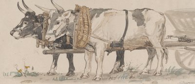 两头牛拉着一辆车，1874年。 作者 彼得·克里斯蒂安·塔姆森·斯科夫加德