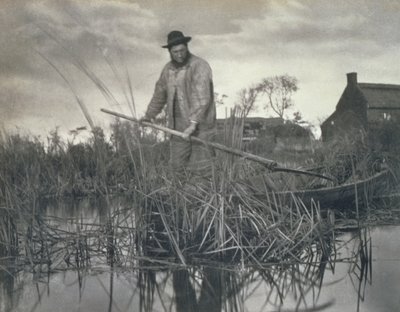 1886年，在诺福克湖区的沼泽，生活和景观中回家 作者 彼得·爱默生和托马斯·古道尔