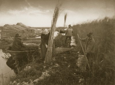 在诺福克湖区的芦苇收获，生活和景观期间，c.1886 作者 彼得·爱默生和托马斯·古道尔