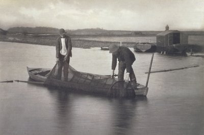 拿起Eel Net，c.1886 作者 彼得·爱默生和托马斯·古道尔