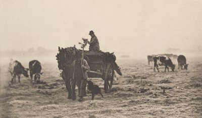 霜降的早晨》，1890-1891年，1893年印刷。 作者 彼得·亨利·爱默生
