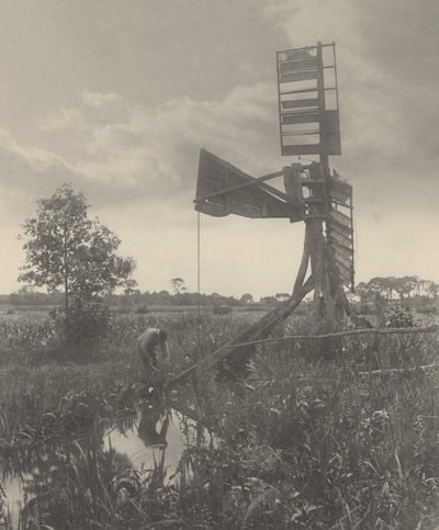 被毁坏的水磨，1886 年（照片） 作者 彼得·亨利·爱默生