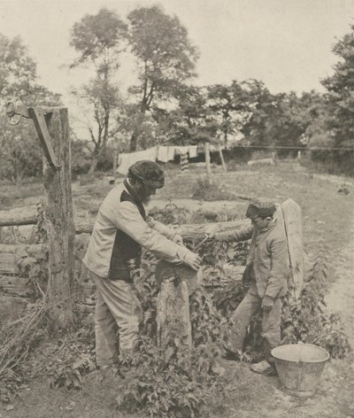 1888年，在磨石-萨福克农场。 作者 彼得·亨利·爱默生