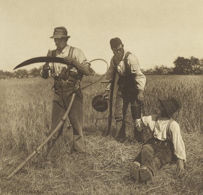 在大麦收获，萨福克，1888年（照相凹版） 作者 彼得·亨利·爱默生