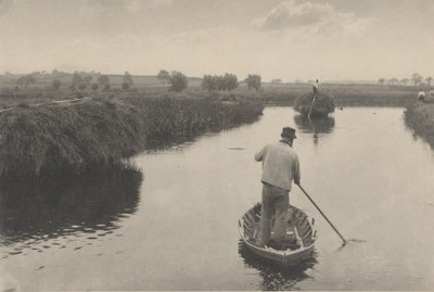 定量沼泽干草，1886 年（照片） 作者 彼得·亨利·爱默生