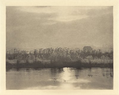莱姆水晶，1895 年或之前（照片） 作者 彼得·亨利·爱默生