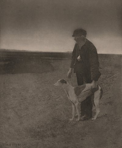 偷猎者--一只野兔，1888 年（照片） 作者 彼得·亨利·爱默生
