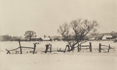 雪域沼泽 作者 彼得·亨利·爱默生