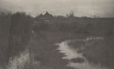 沼泽地的边缘地带 作者 彼得亨利爱默生和 TF 古道尔
